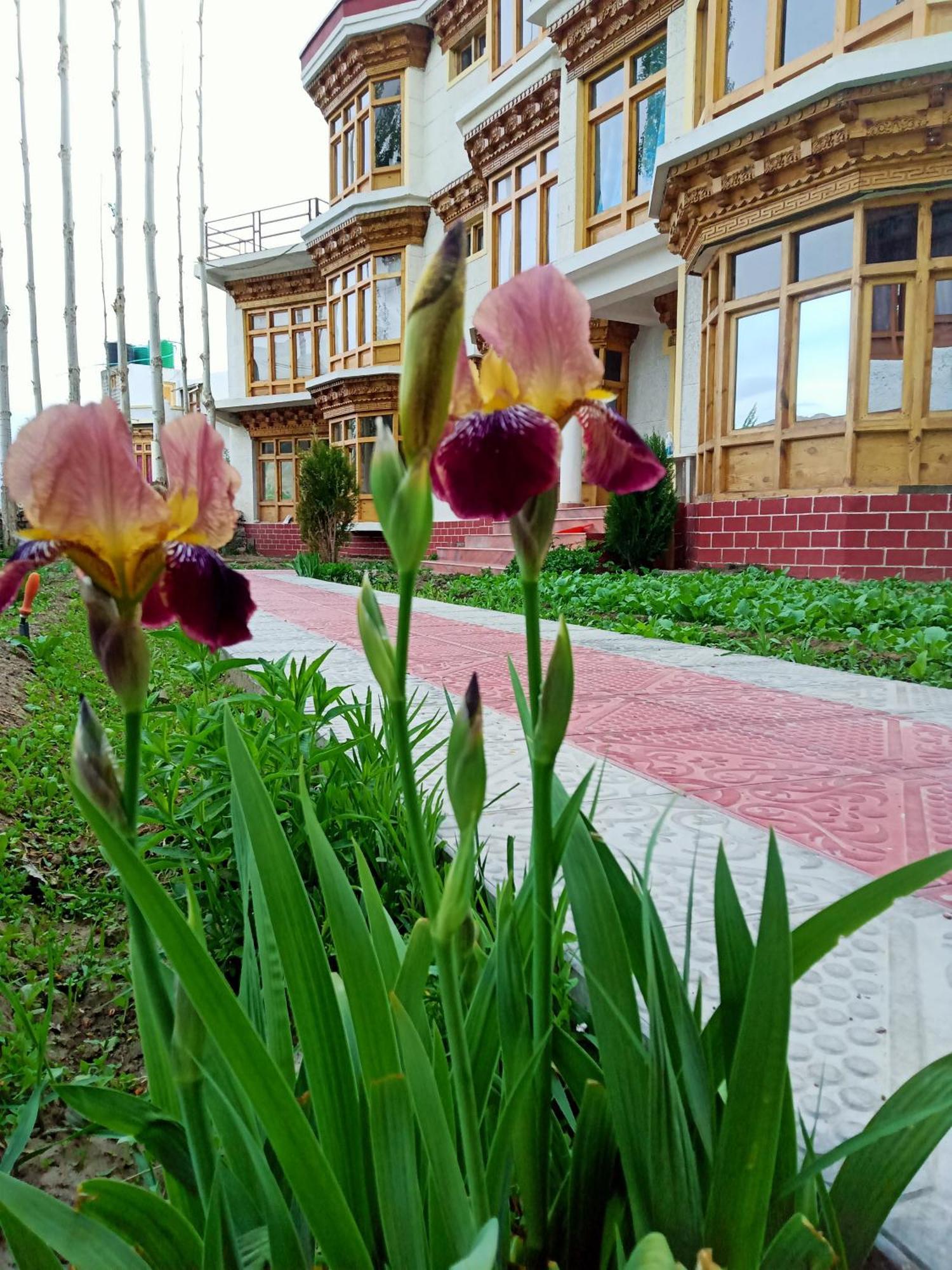 Zee Guest House Leh Phòng bức ảnh
